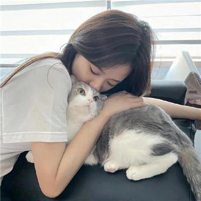 犯罪家族2023