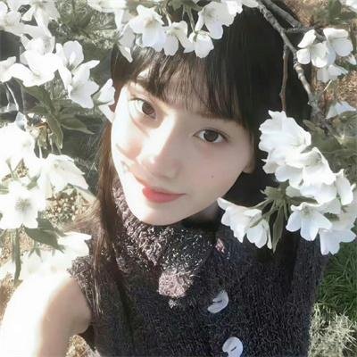 韩裔美人的日与夜